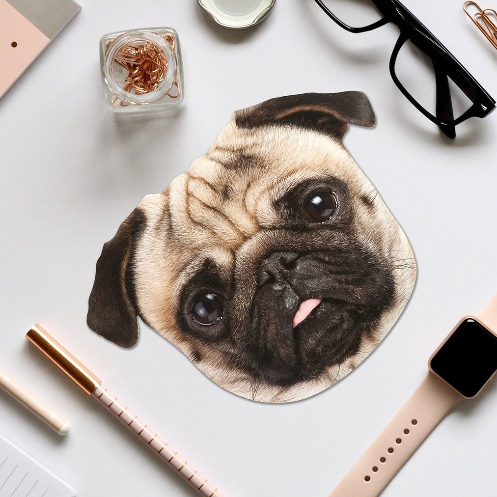 Hadřík na brýle mopsík