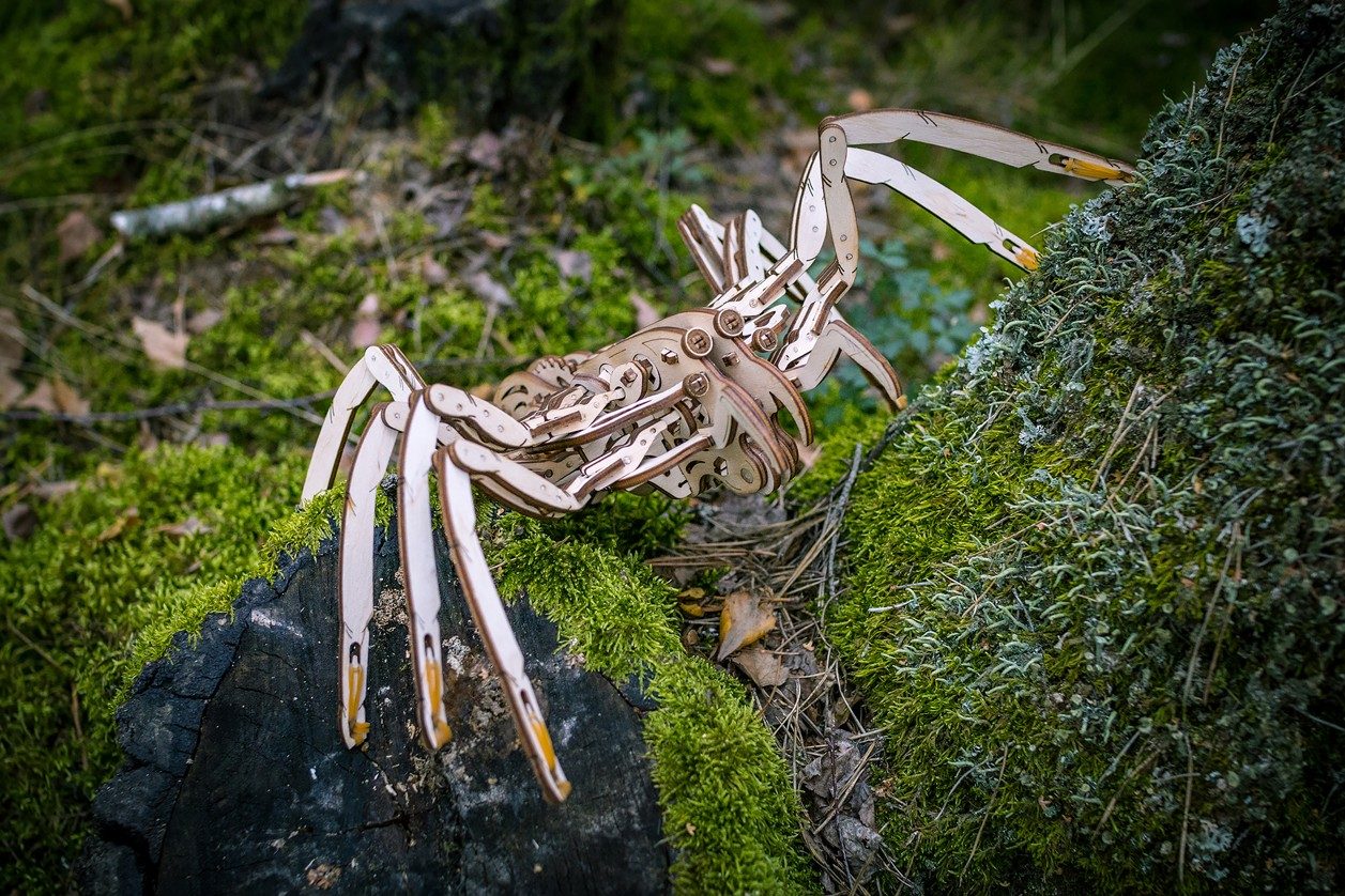 Dřevěný skládací 3D model - Spider