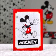 Kidboxeo s Mickey Mousem