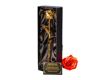 Luxusgeschenke